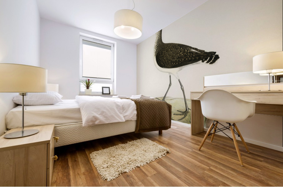 Green Sandpiper Totanus ochropus Mural print