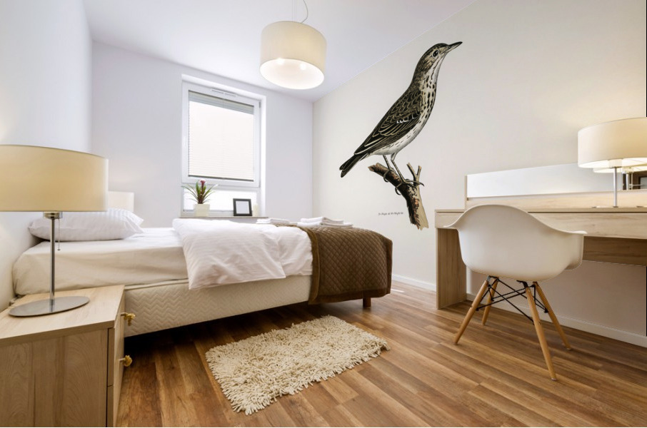 Tree pipit Anthus trivialis Mural print