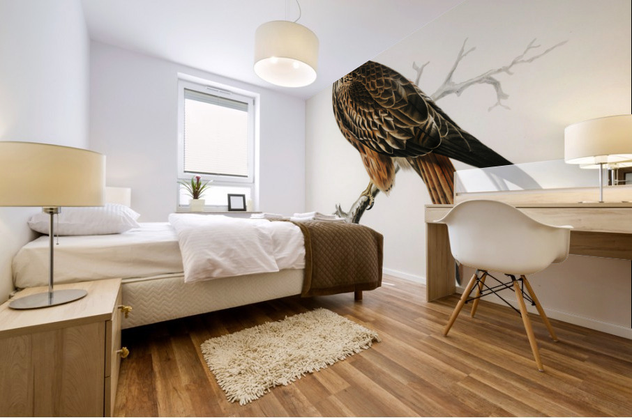 Red Kite Milvus milvus Mural print