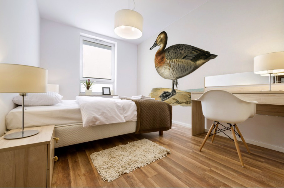 Common Pochard female Nyroca ferina Mural print