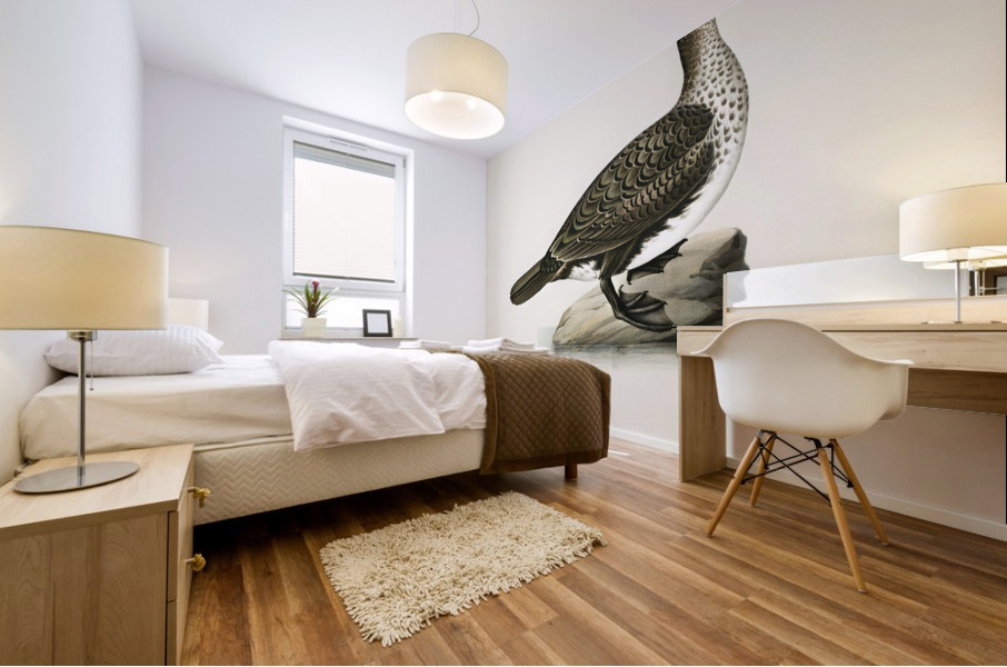 Great cormorant Phalacrocorax Carbo Mural print