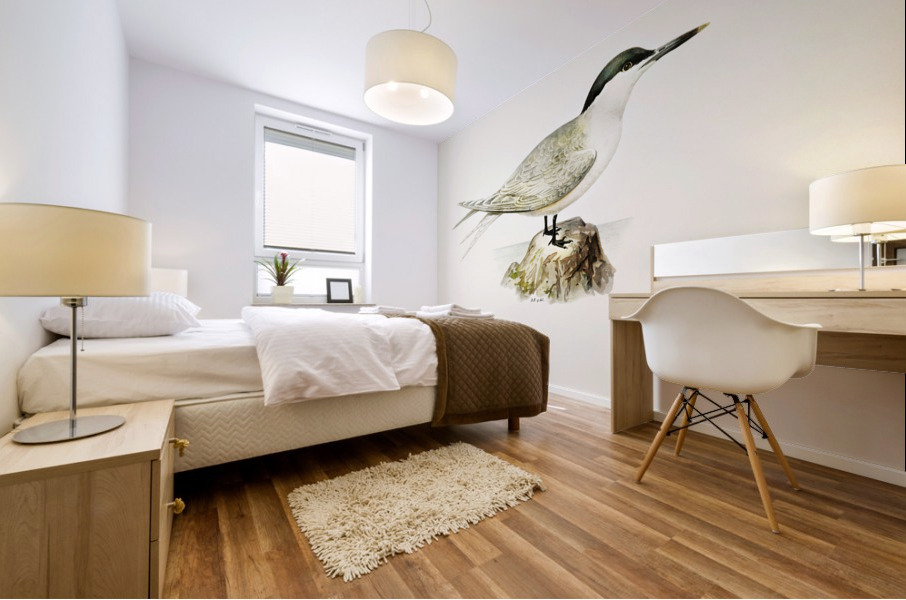 Sandwich tern Sterna sandvicensis Mural print