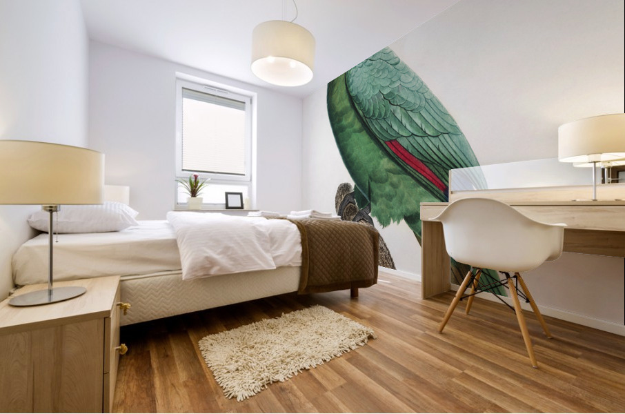 Yellow-crowned amazon Mural print