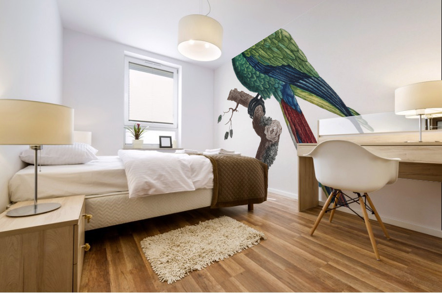 Military macaw Mural print