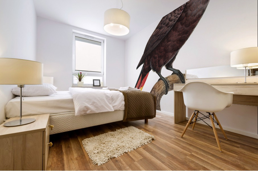 Black lory  Mural print