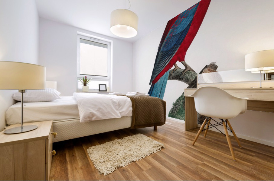 Crimson rosella  Mural print