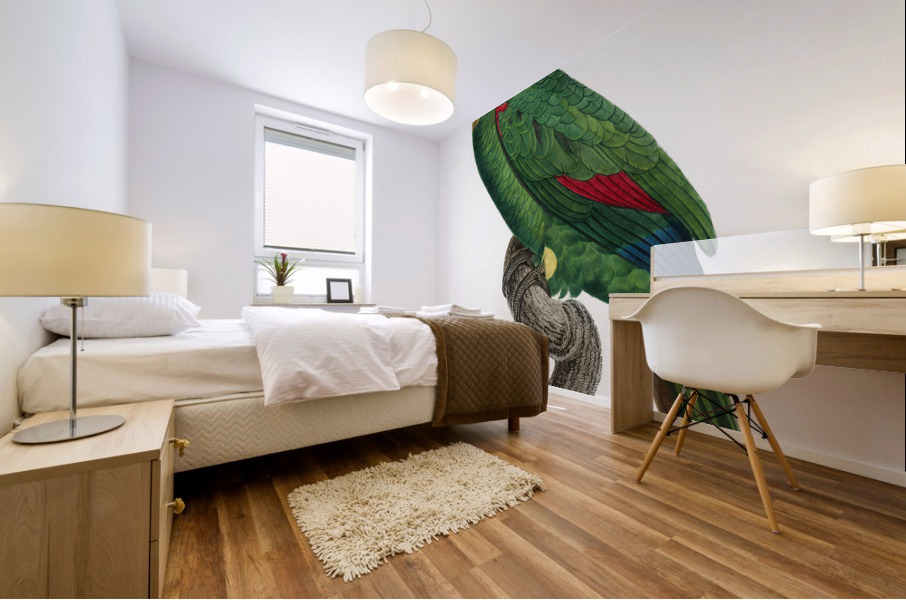 Blue-fronted amazon  Mural print