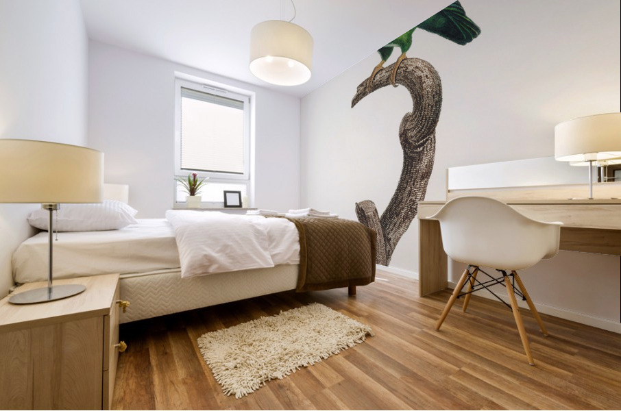 Tui parakeet  Mural print