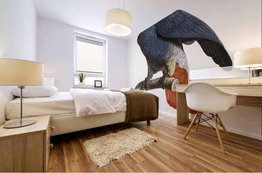 African grey parrot  Mural print