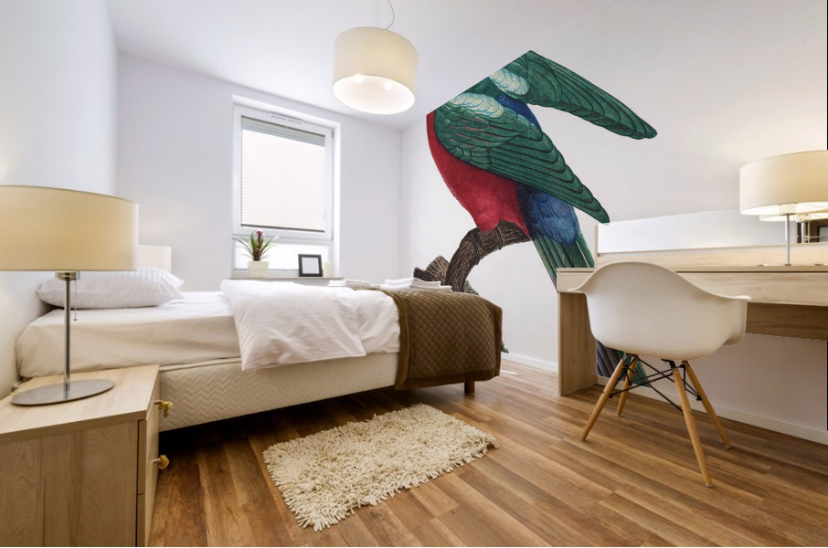 Australian king parrot  Mural print