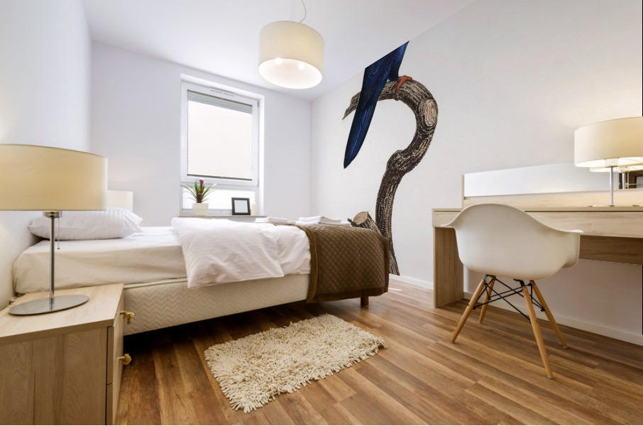 Sparman parakeet  Mural print