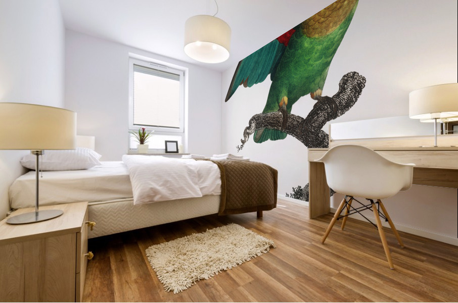 Orange-cheeked parrot  Mural print