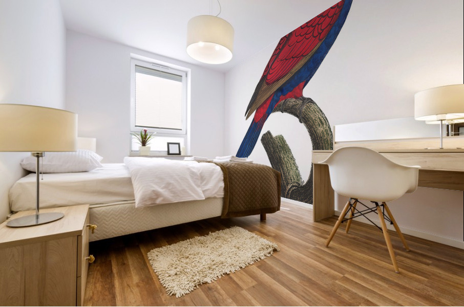 Red-and-blue lory  Mural print