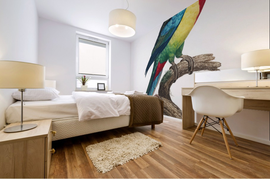 Eastern rosella  Mural print