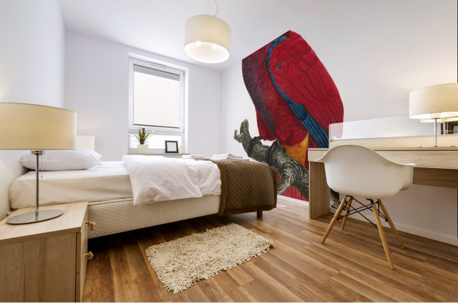 Eclectus parrot  Mural print