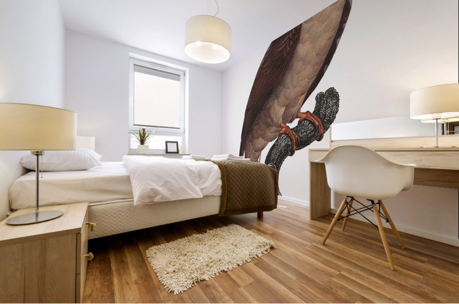 Mascarine parrot  Mural print