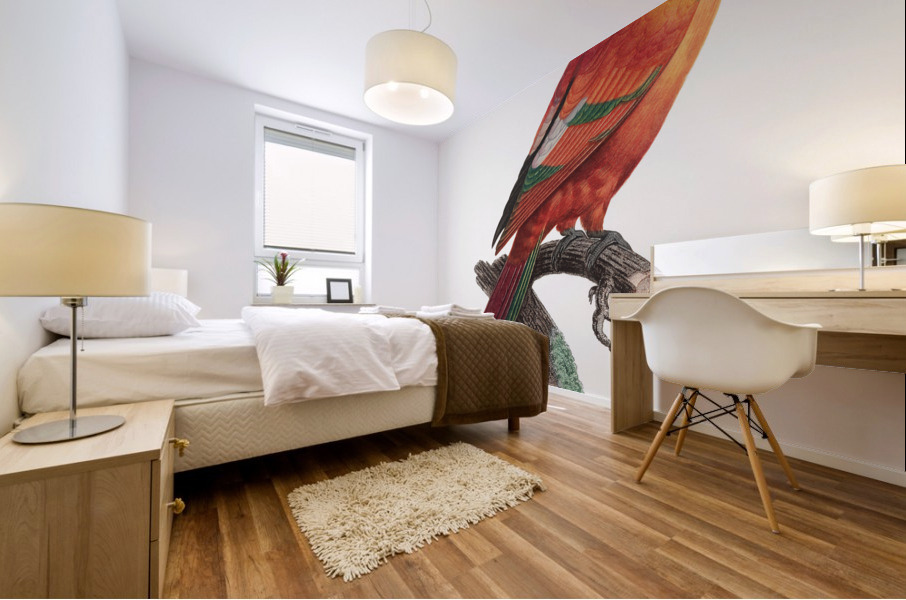 Crimson shining parrot  Mural print