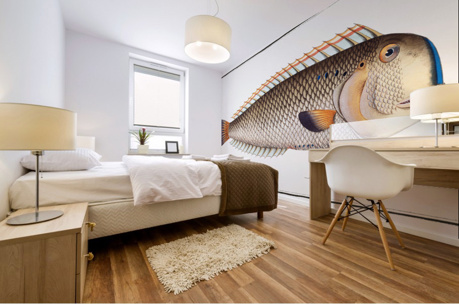 Coryphaena pentadactyla Mural print