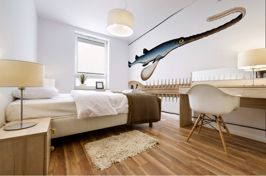Saw-Fish Embrio Squali Pristis Mural print