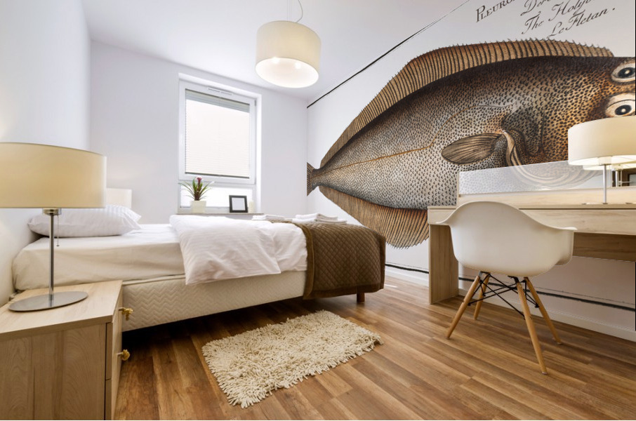 Holybut Pleuronectes Hippoglossus Mural print