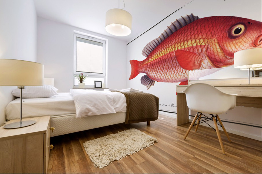 Vosmars Grunt Anthias Vosmeri Mural print