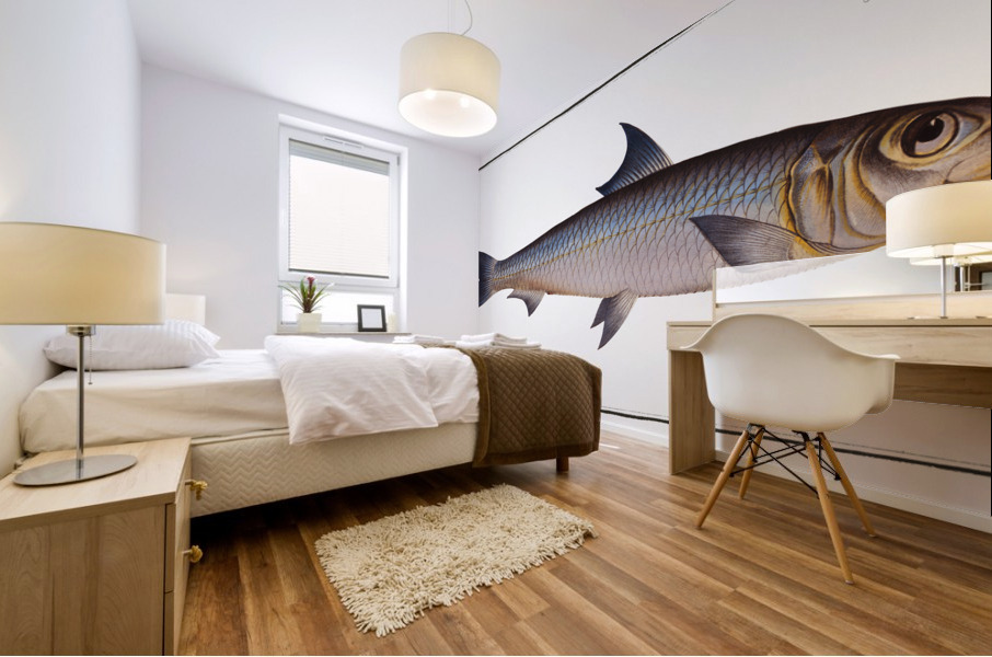 Pilchard Clupea Pilchardus Mural print