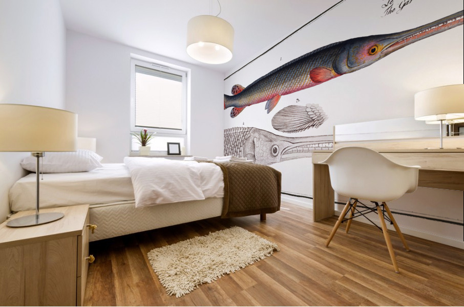 Gar-Fish Esox osseus Mural print