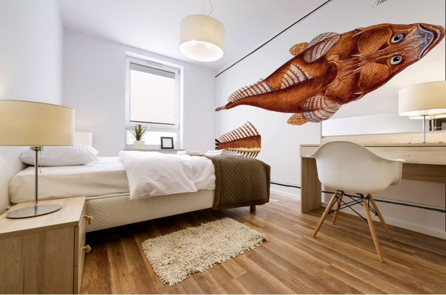 Shovel Platycephalus Spathula Mural print