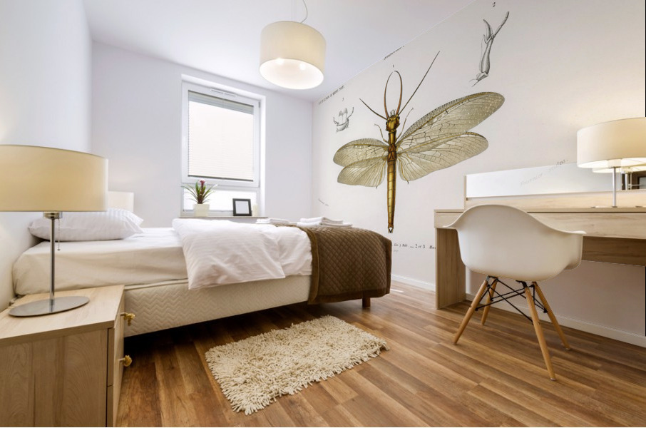 Eastern dobsonfly Corydalus cornutus Mural print