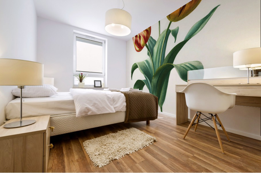 Didier&39s tulip Tulipa gesneriana Mural print