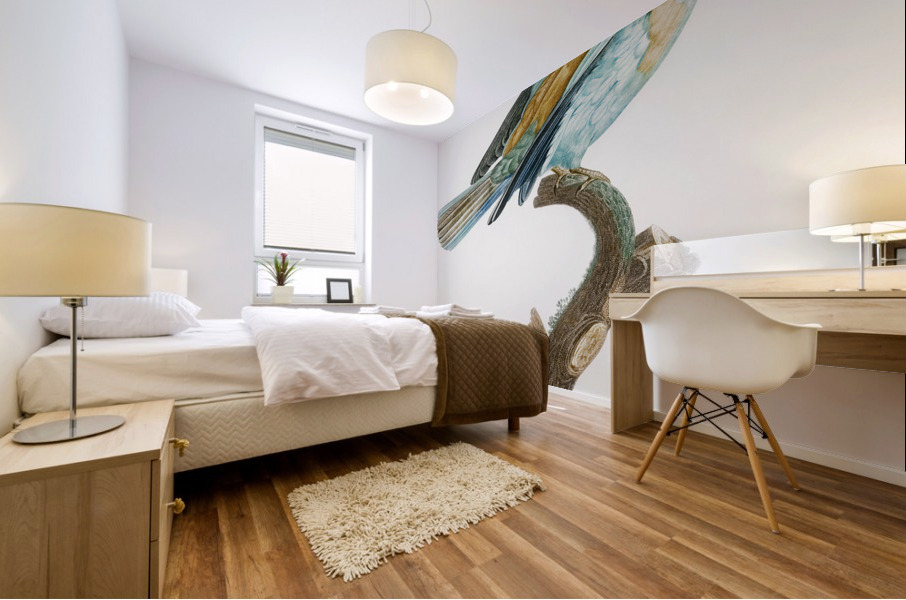 Abyssinian roller female Mural print