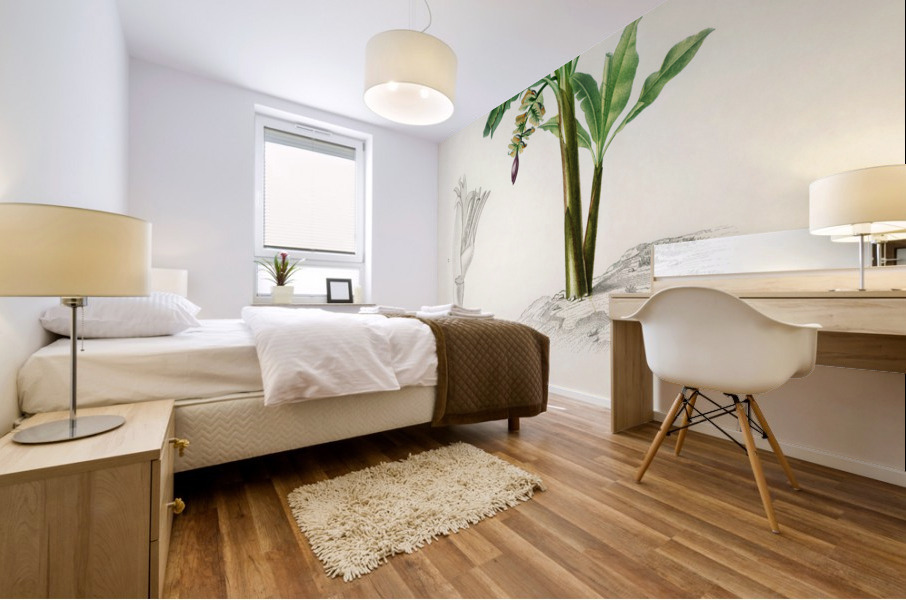 Eurasian Jay  Mural print