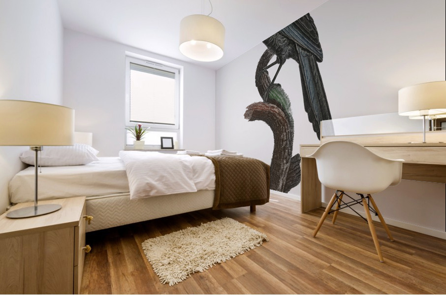 Manucode Male  Mural print