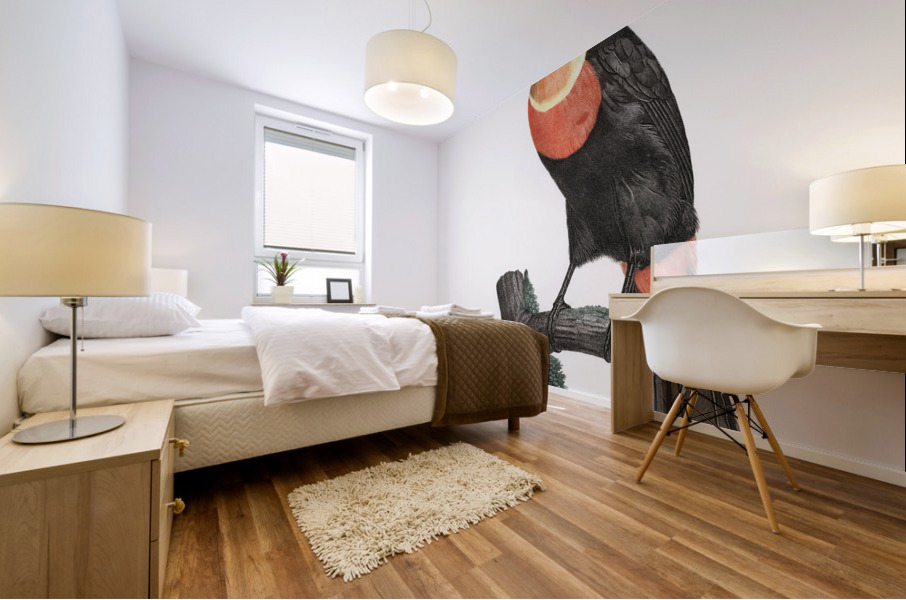 Green-billed toucan  Mural print