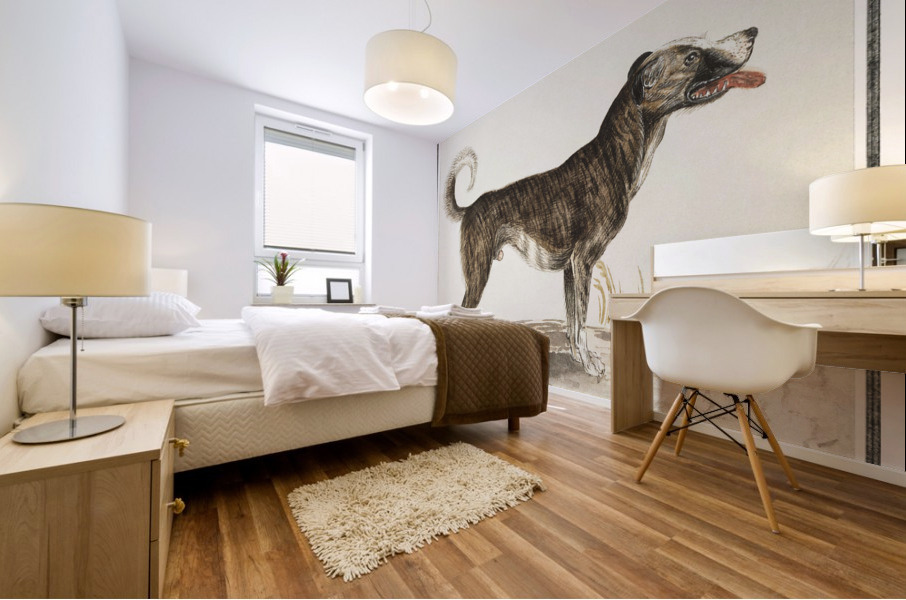 Dog in vintage style Mural print