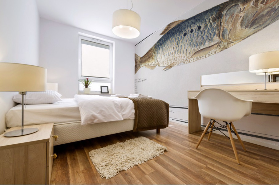 Shad in vintage style Mural print