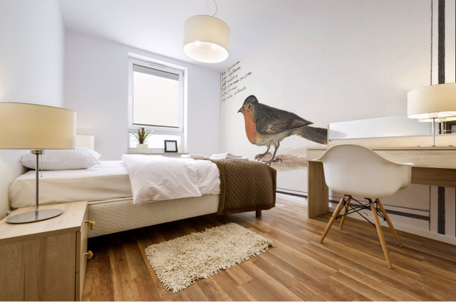 Robin in vintage style Mural print
