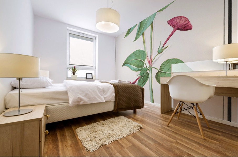 Marvel-of-peru in vintage style Mural print