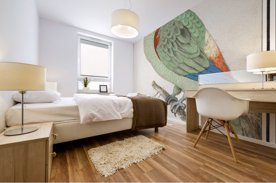 Turquoise-fronted amazon in vintage style Mural print