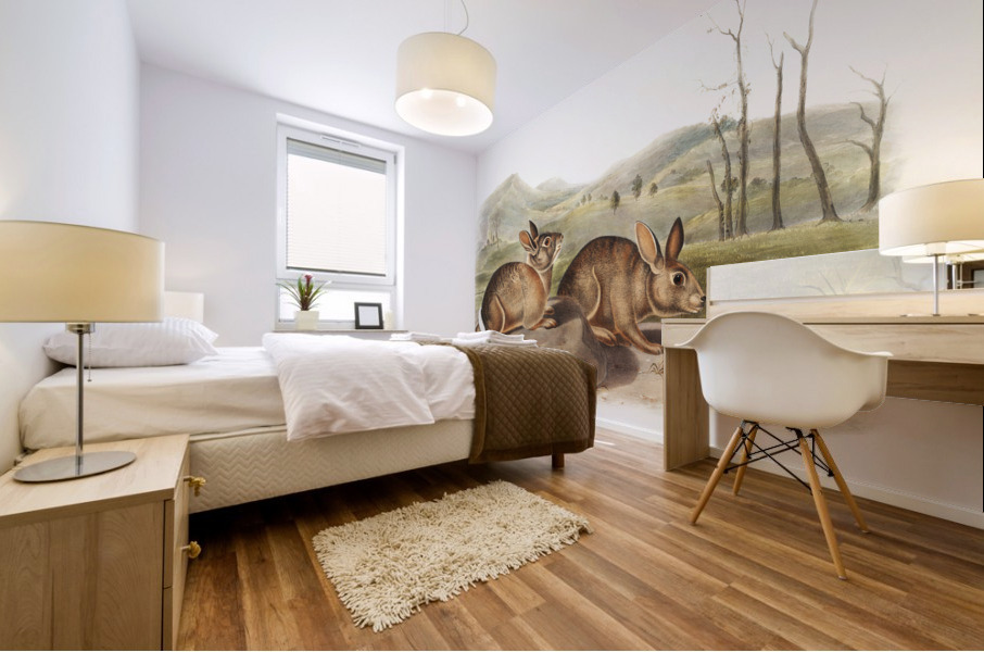 Hare Lepus Bachmani  Mural print