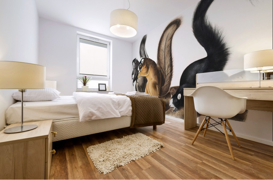 Fox Squirrel Sciurus capistratus  Mural print