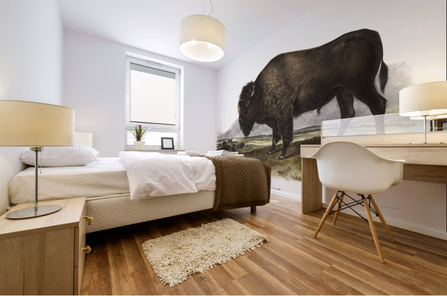 Marsh Hare Lepus palustris  Mural print