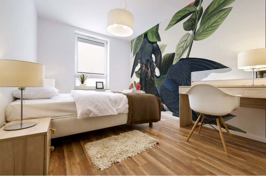 White-crowned Pigeon Mural print