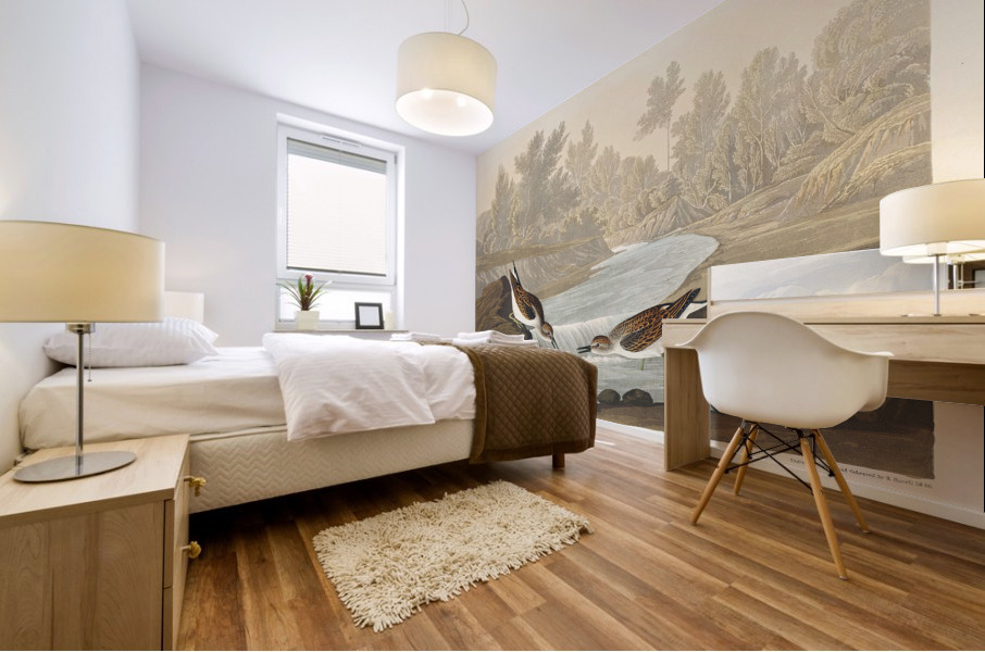 Little Sandpiper Mural print