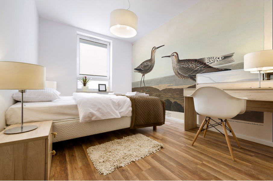 Long-legged Sandpiper Mural print