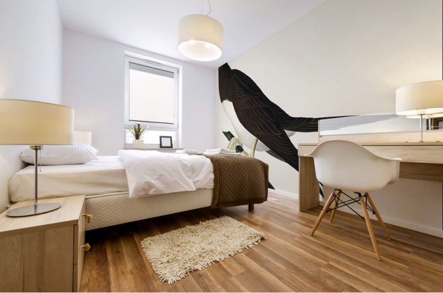 Booby Gannet Mural print