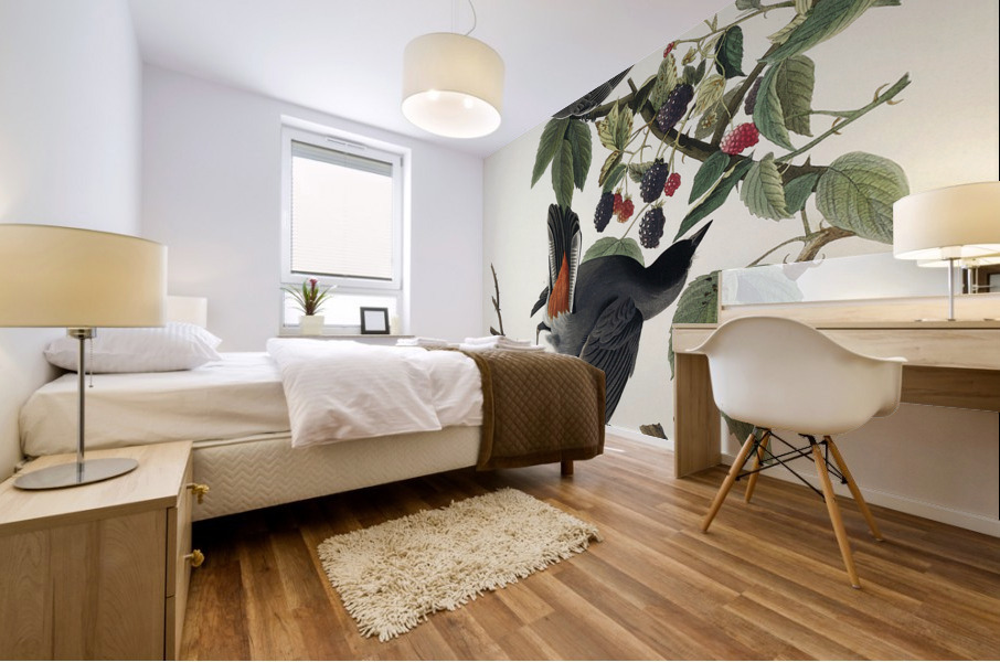 Cat Bird Mural print