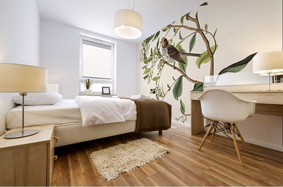 Lesser Red-Poll Mural print