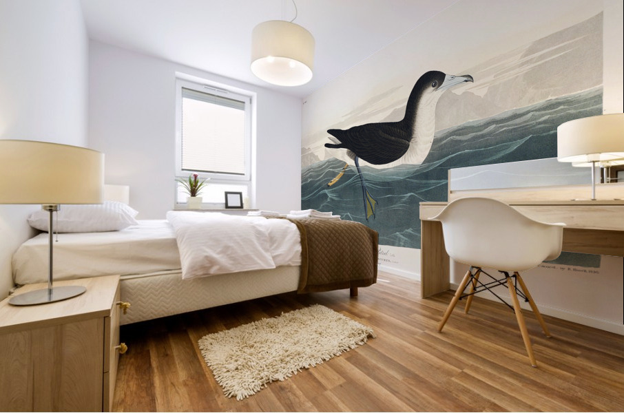 Dusky Petrel Mural print