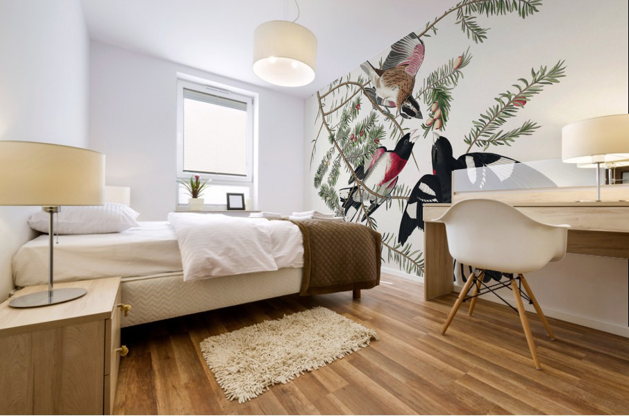 Rose-breasted Grosbeak Mural print